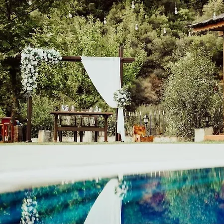 Degirmenbasi & Restoran