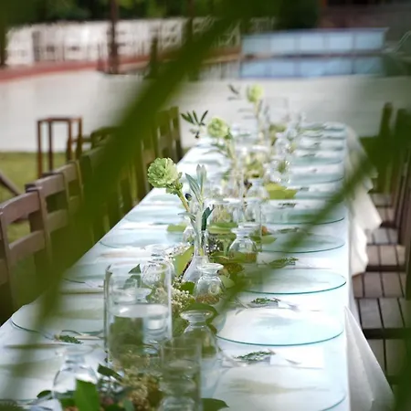 Degirmenbasi & Restoran *